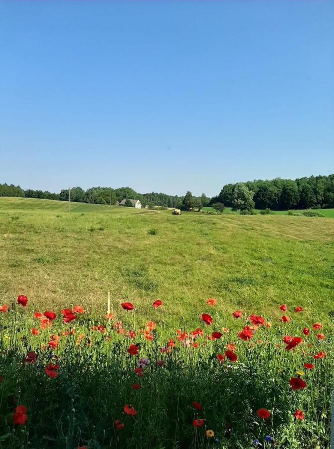 Damhills Apartments Bronowko Екстер'єр фото